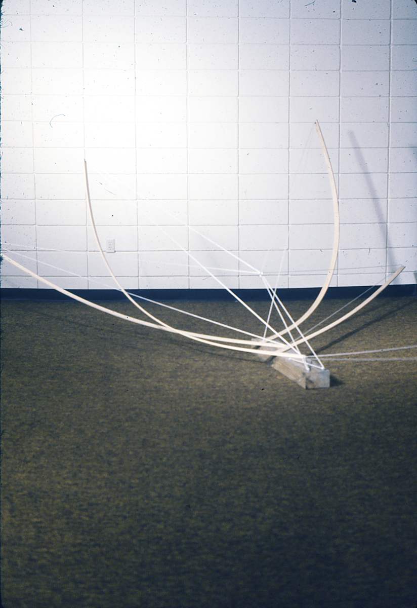 Dogsled by David Williams 