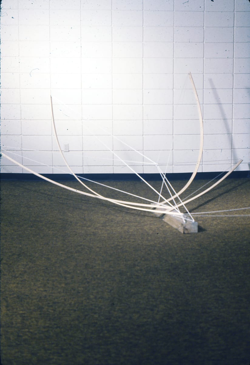 Dogsled by David Williams, Image 1.