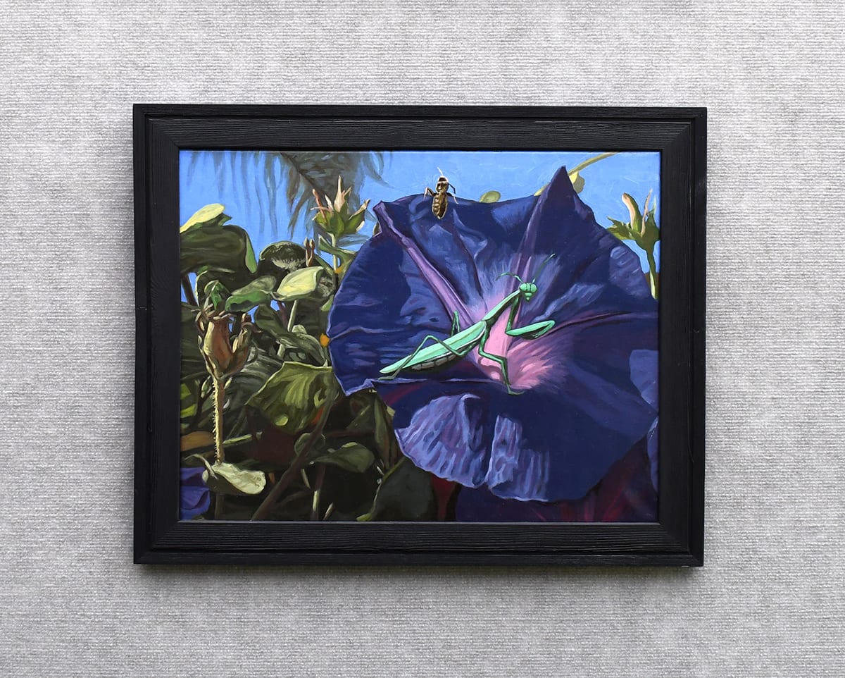Mantis Morning, Image 2.
