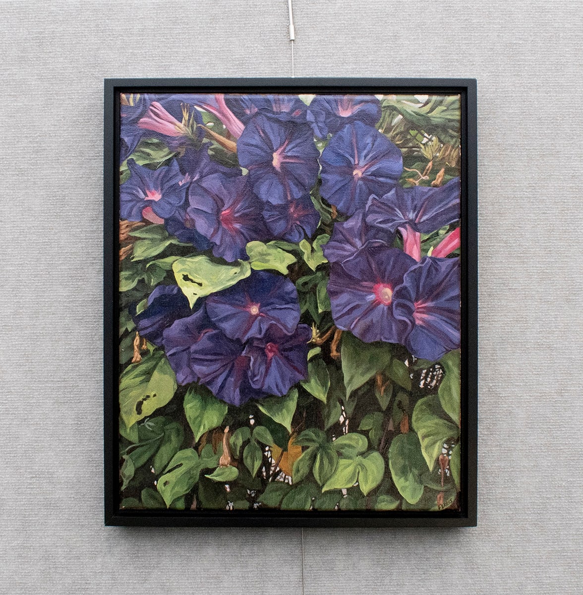 Morning Glory by Rodger Ferris 