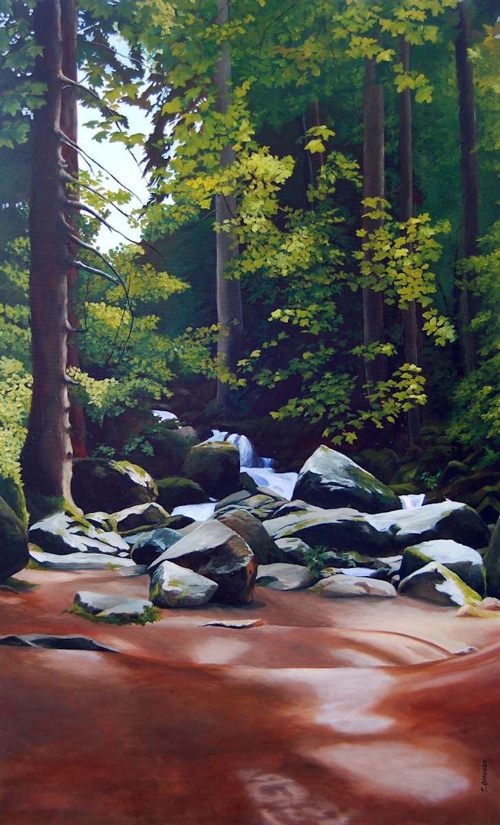 Schwarzwald by Theresa Otteson, Image 1.