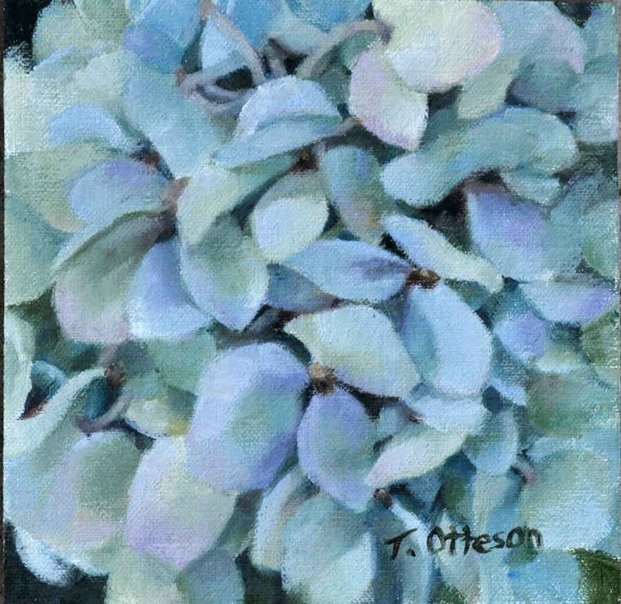 Blue Hydrangea 