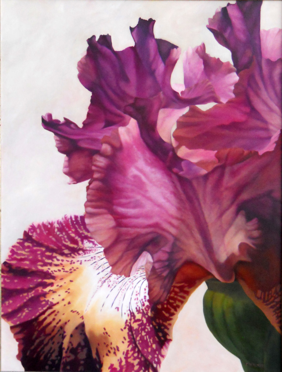 Iris by Theresa Otteson 