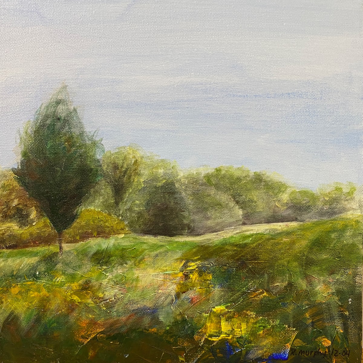 Springbrook Prairie II 