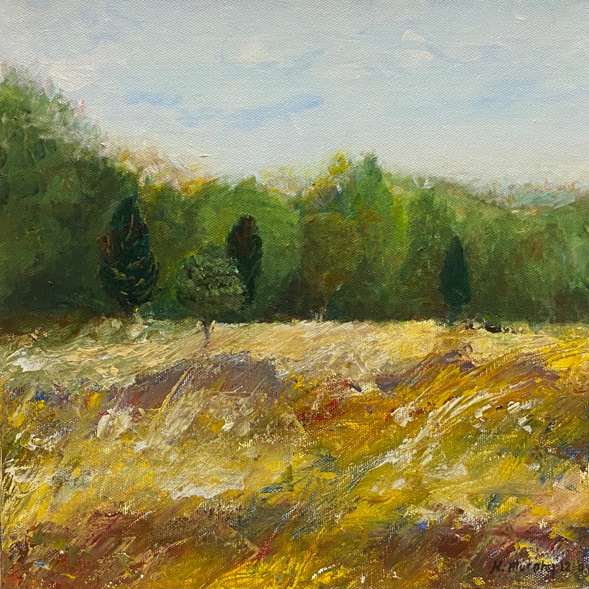 Springbrook Prairie I, Image 1.