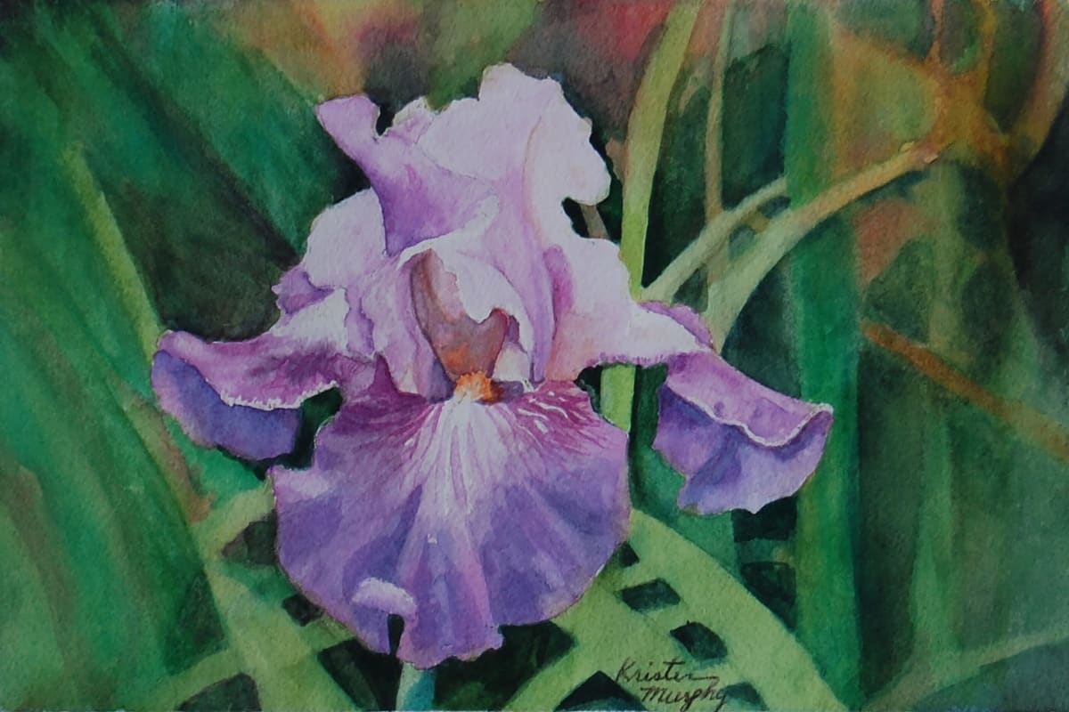 Solo  Image: Original watercolor of a "Solo" Iris by artist Kristin Murphy