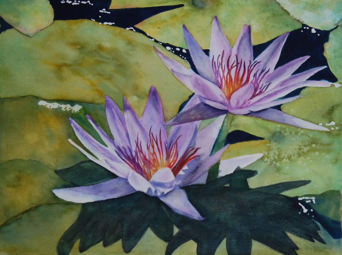Water Lilies of Esperanza by Kristin Murphy  Image: Water Lilies float in Esperanza's peaceful pond in Cabo San Lucas, Mexico. Original watercolor painting by Kristin Murphy.