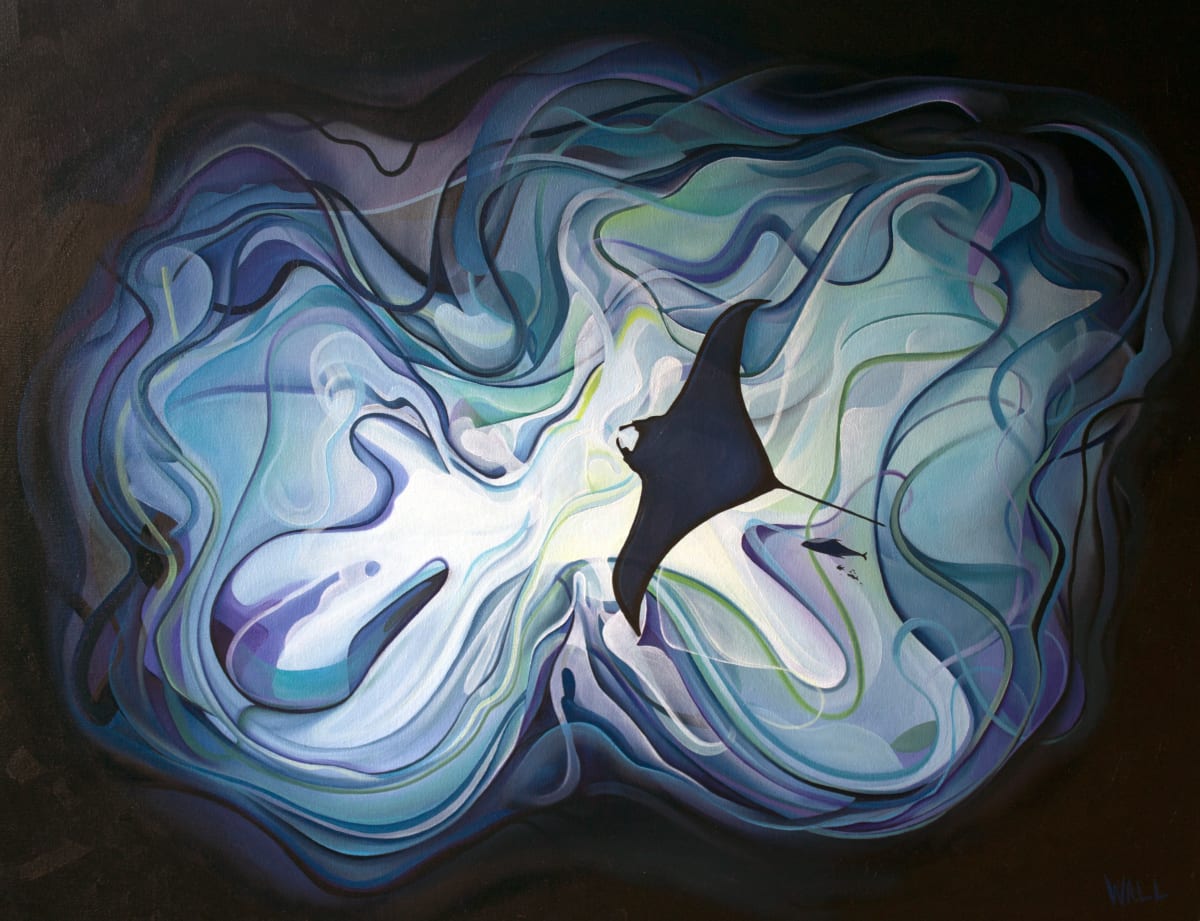 Manta From Below 