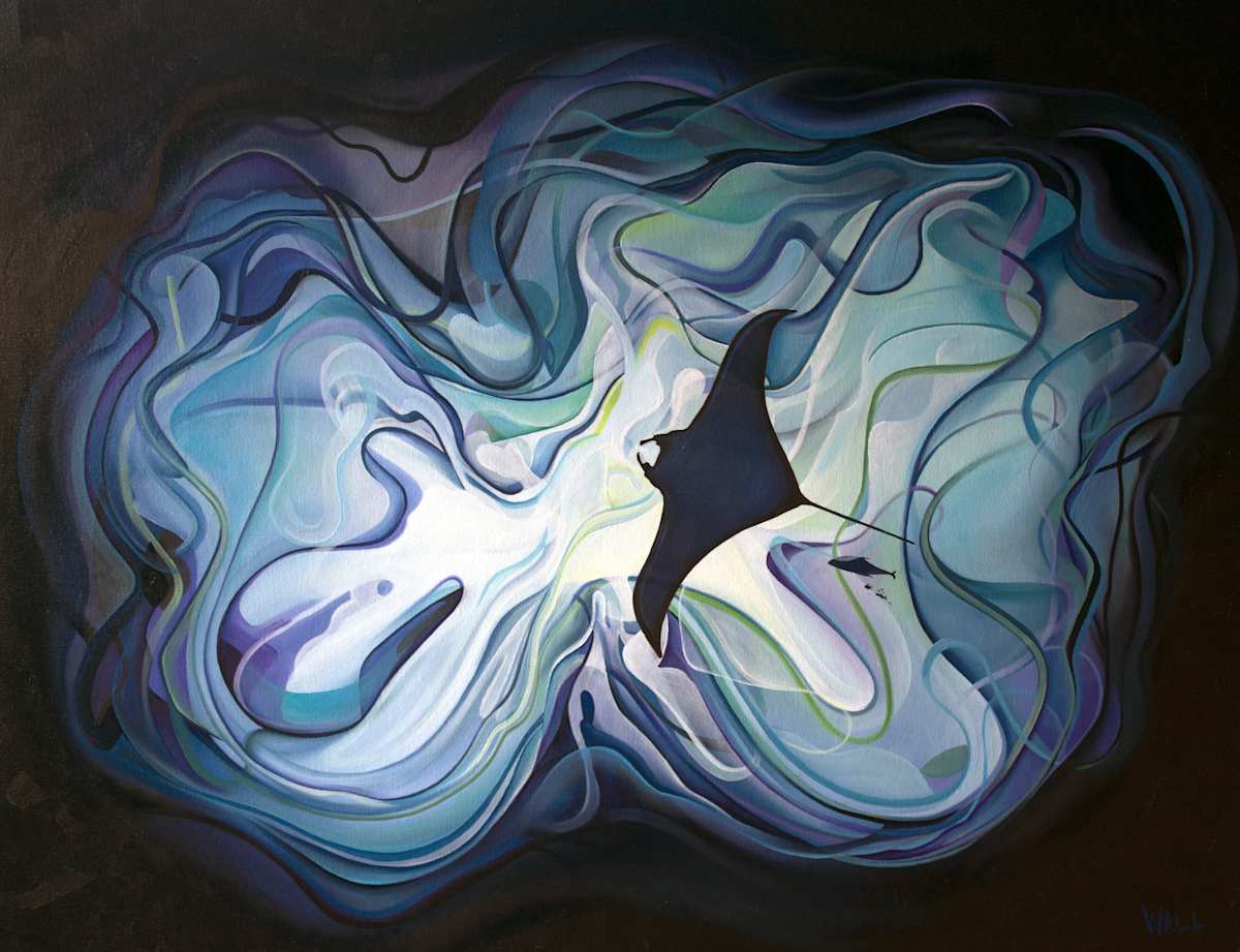 Manta From Below, Image 1.