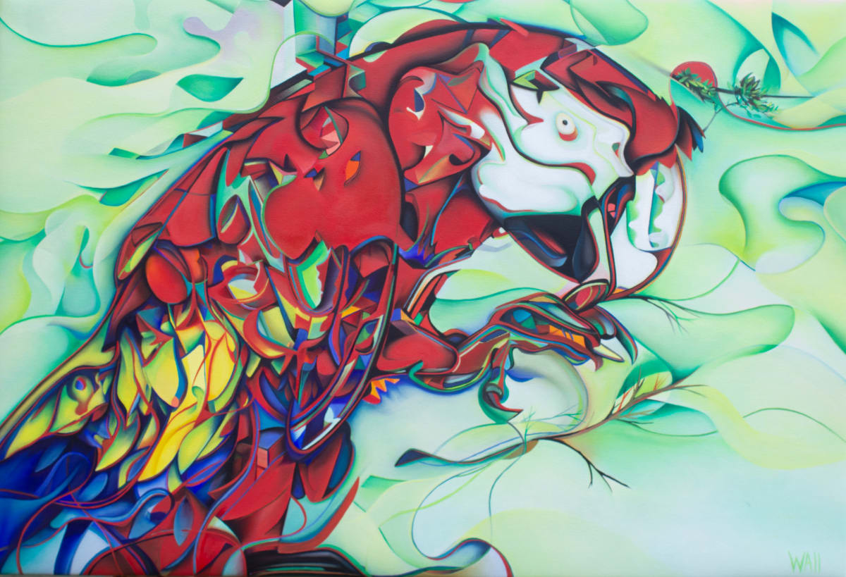 Scarlet Macaw 2 