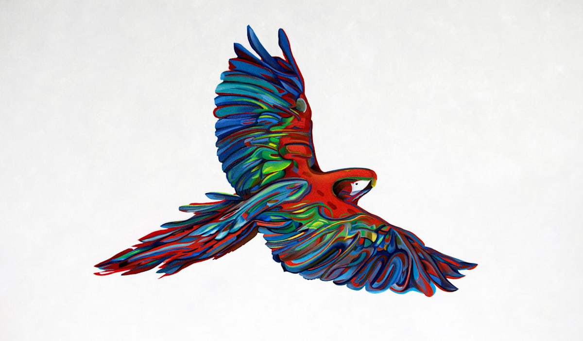 Scarlet Macaw, Image 1.
