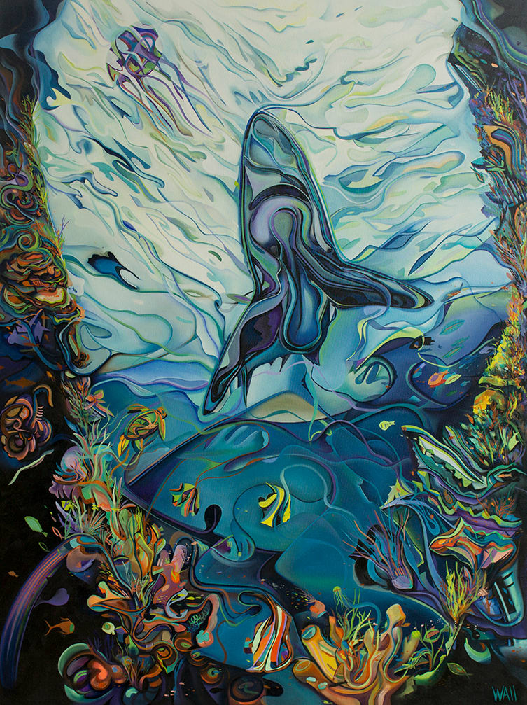 A Shark's World 