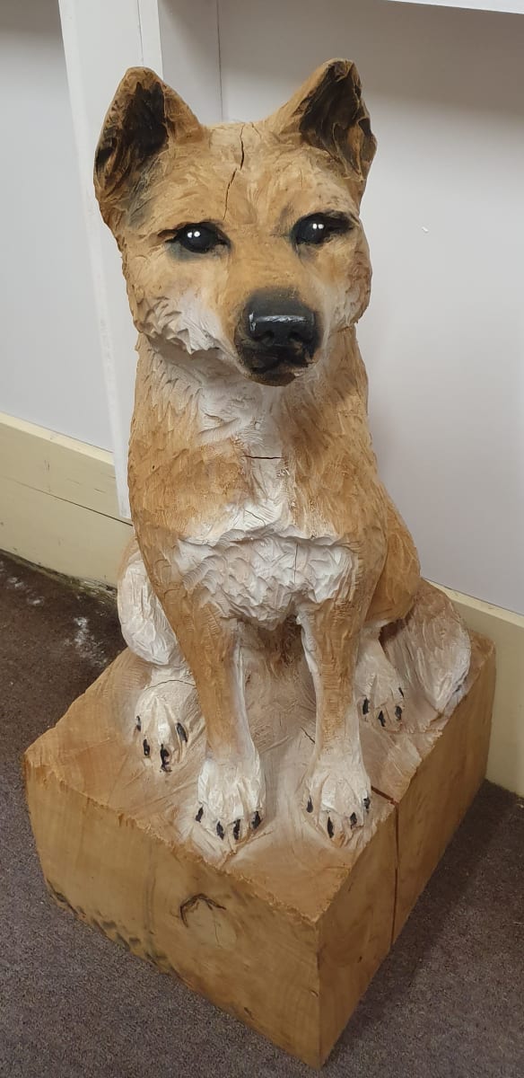 Dingoes by Richard Bast 