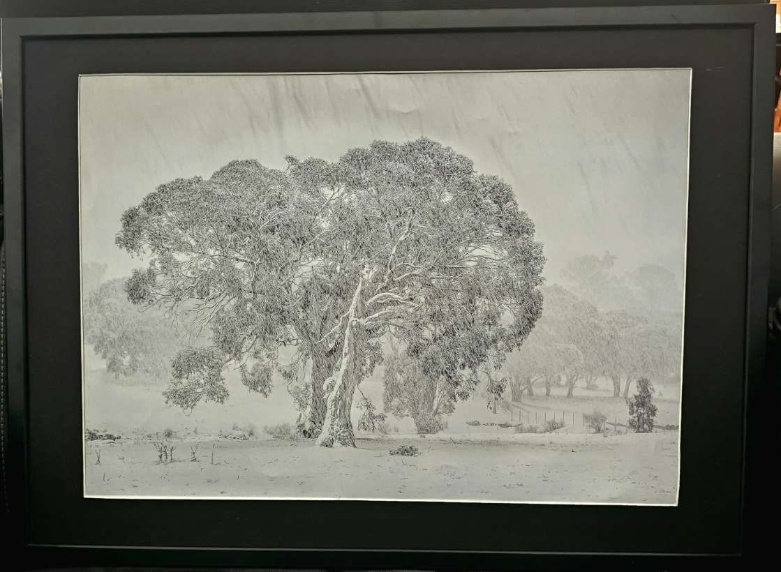 WAL Snowgum in a Snowstorm by Wanda Lach 