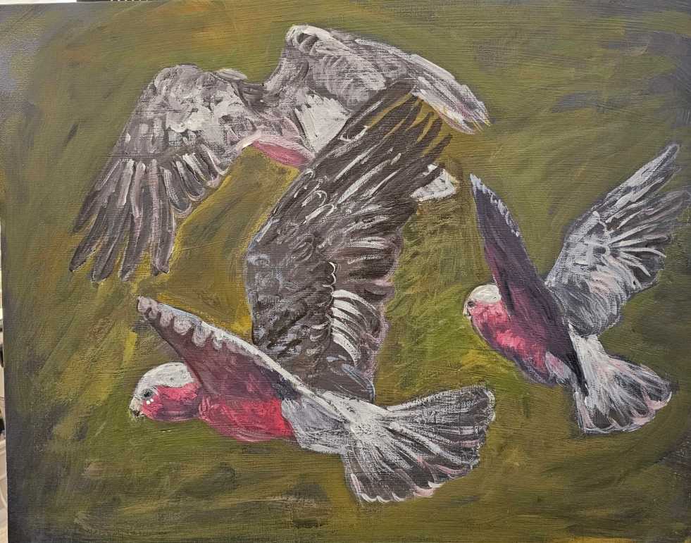 Flying Galahs by Wanda Lach 