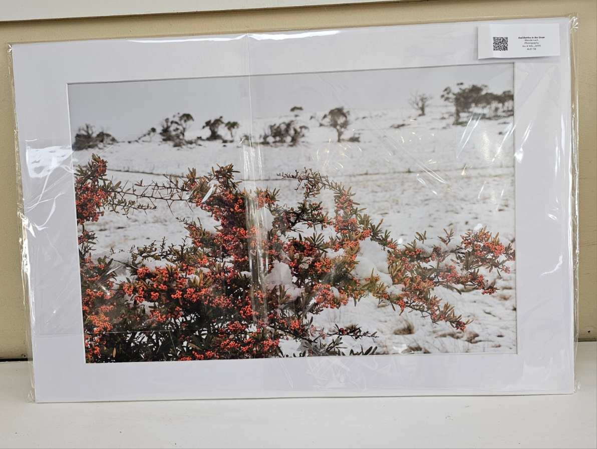 Red Berries in the Snow by Wanda Lach 