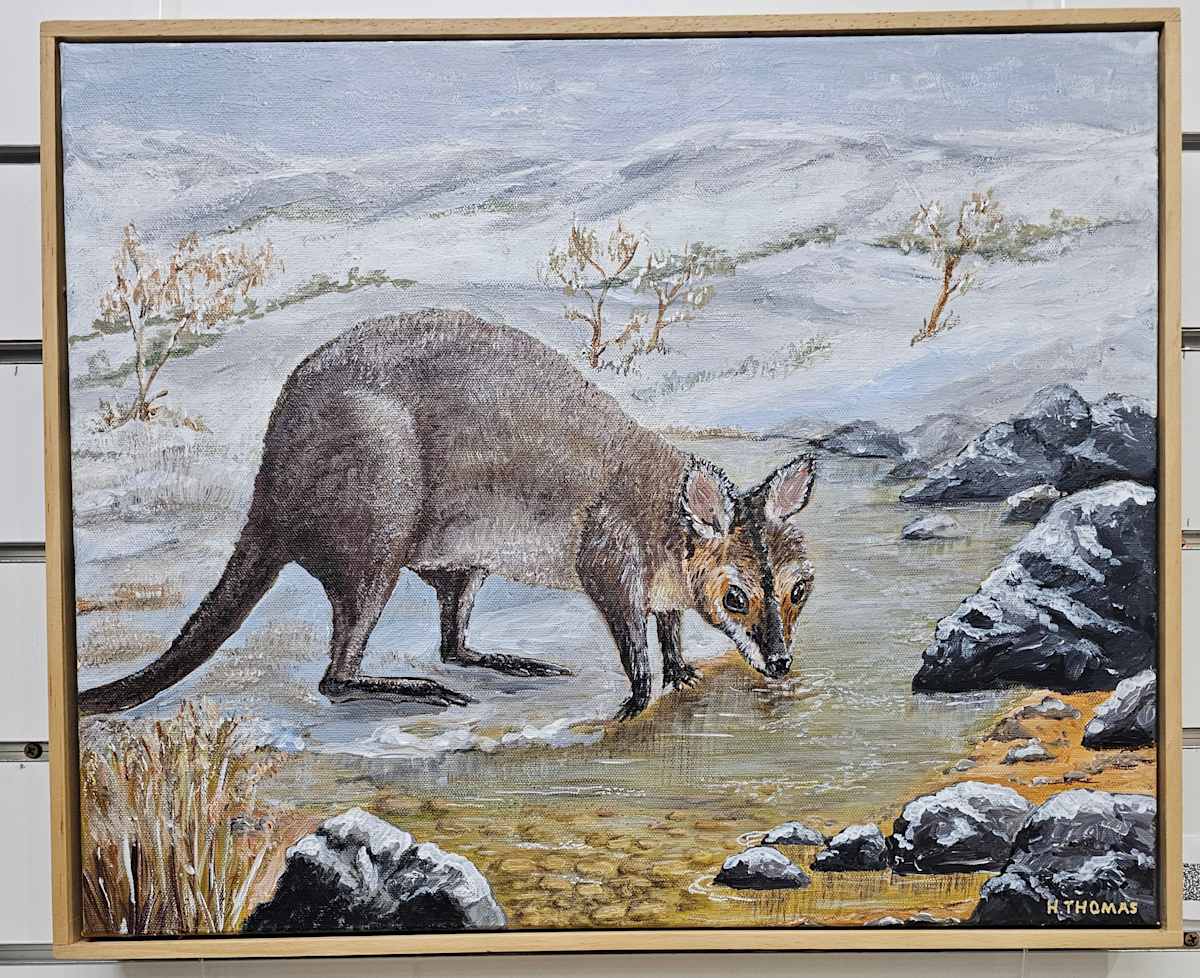 Red Wallaby by Halcyon Thomas 