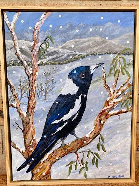 Magpie in the Snow by Halcyon Thomas  Image: Magpie in snow