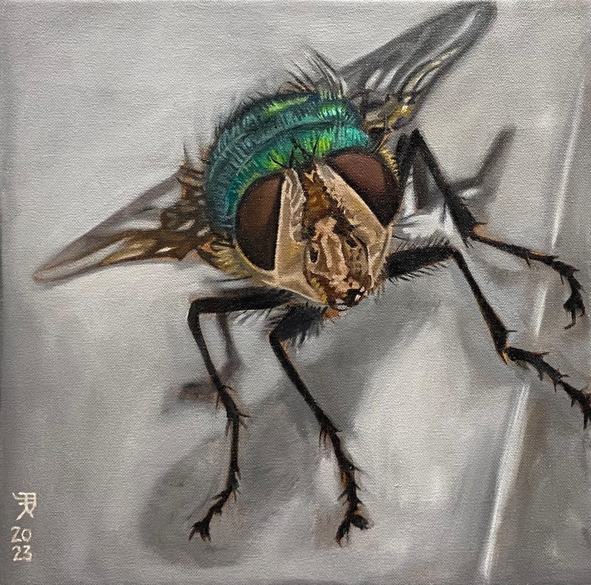 Blowfly#1 by Pattie Keenan, Image 1.