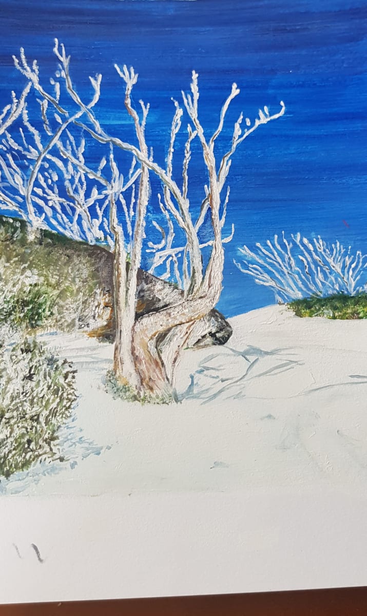 Icelical Snow Gums by Jenny Border 