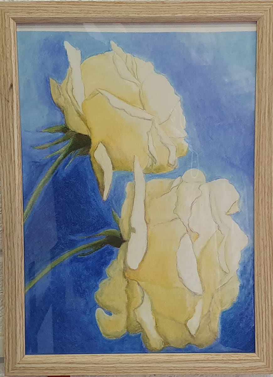 Roses by Jan Owens 