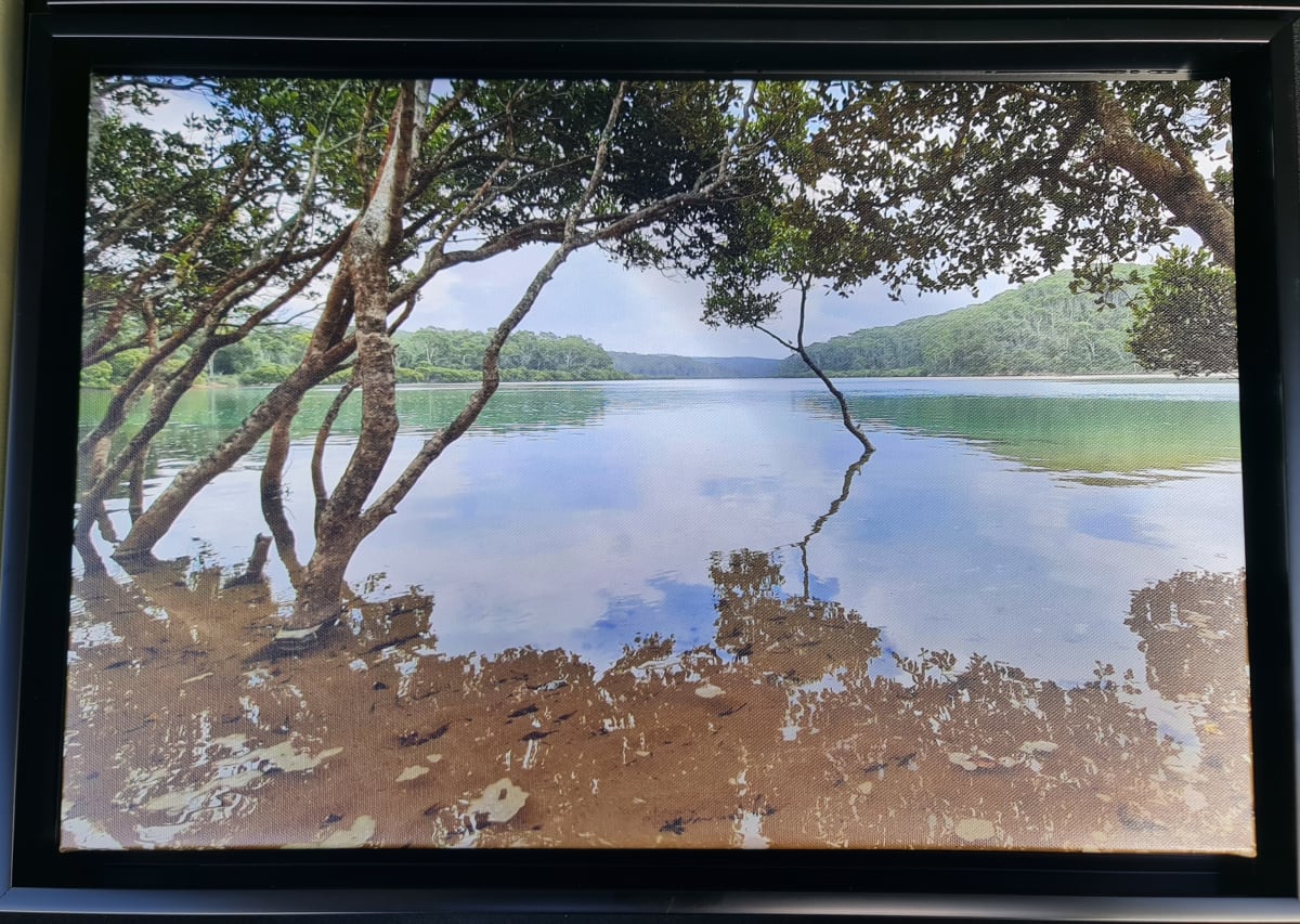 South Coast Reflections - Mimosa Rocks National Park by Danielle Devine  Image: South Coast Reflections - Nelsons Lagoon, Mimosa Rocks National Park