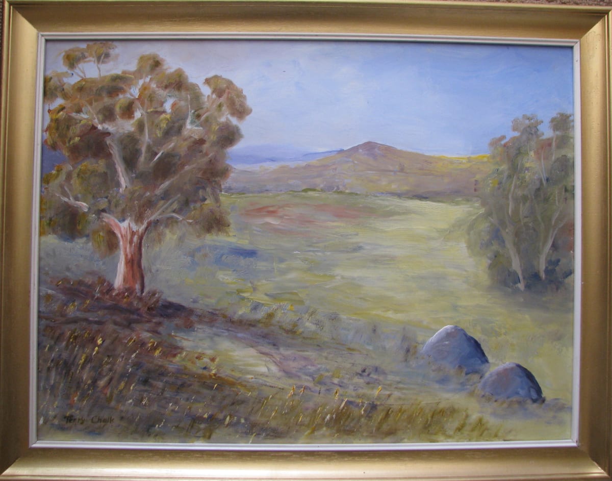 Moonbah Valley Afternoon by Terry Chalk 