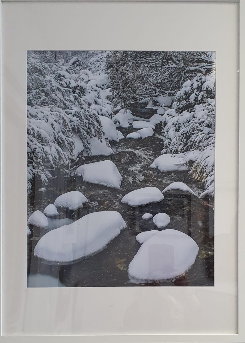 Cascades Snowy Stream by Wanda Lach 