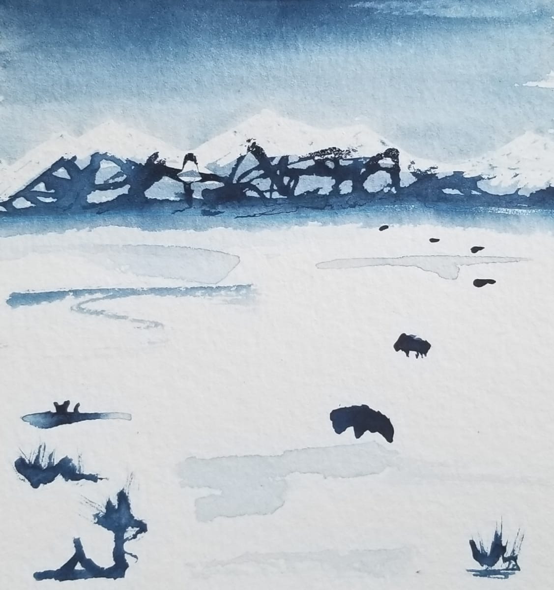 Where the Buffalo Roam 