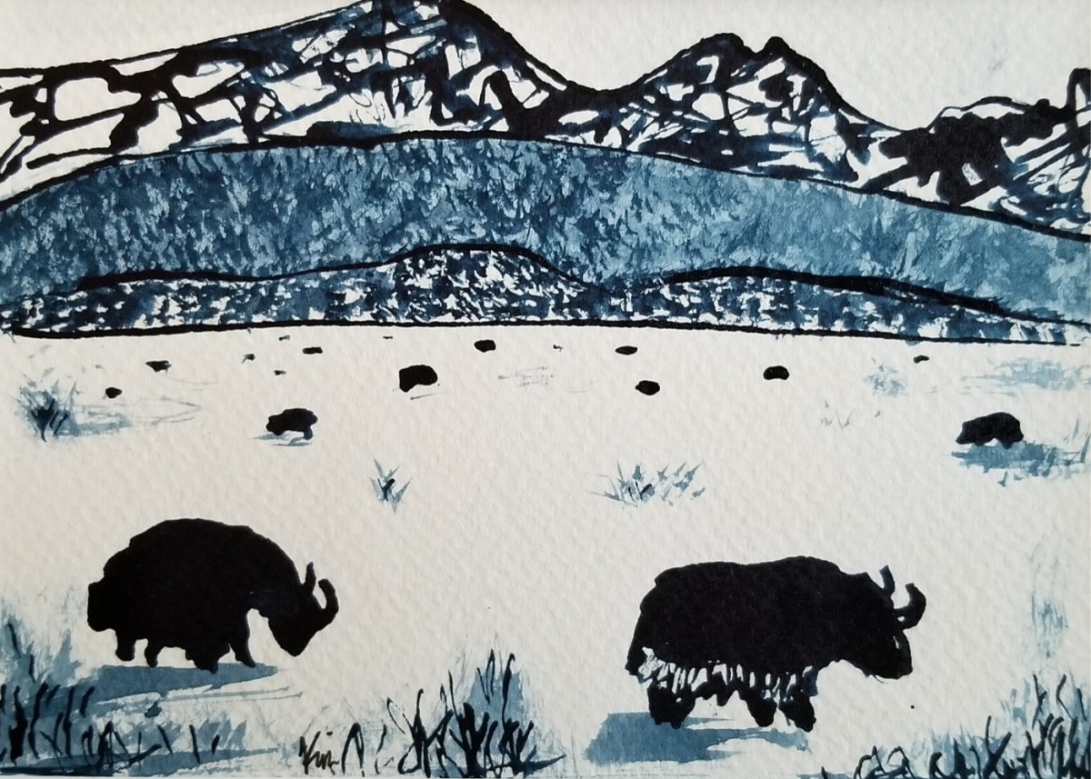 Yaks by Kim Roberts 