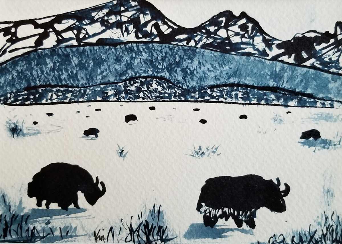 Yaks by Kim Roberts, Image 1.