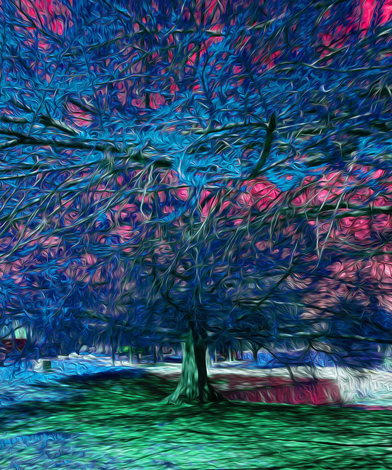Blanco River Tree Blue by Nancy J. Wood 