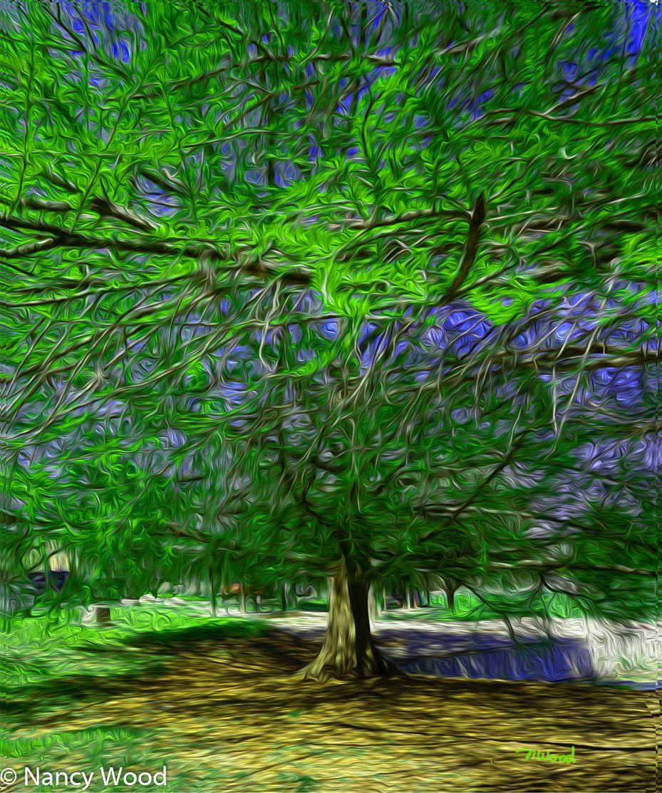 Blanco River Tree Green by Nancy J. Wood, Image 1.