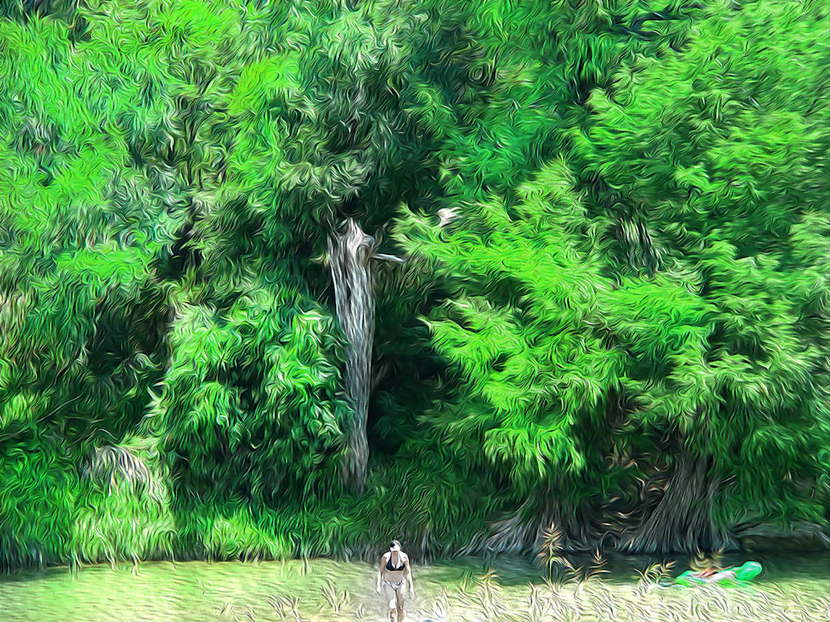Guadalupe River Summer by Nancy J. Wood, Image 1.