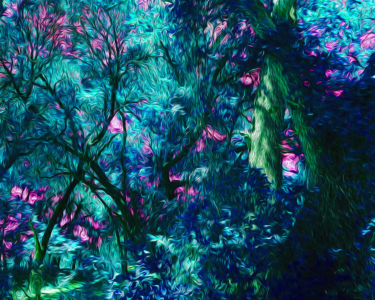Forest Park Cyan by Nancy J. Wood, Image 1.