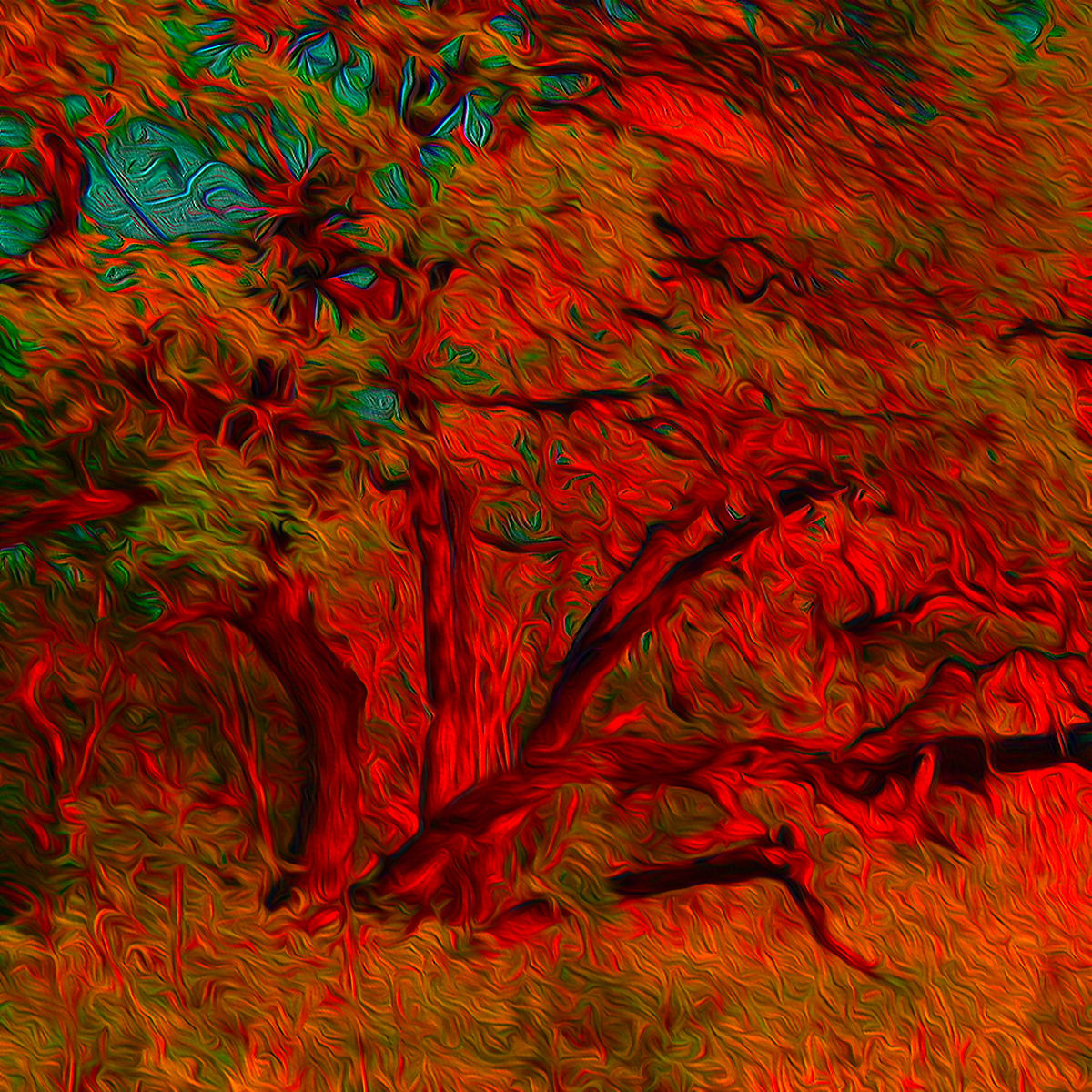 Burning Bush Red by Nancy J. Wood, Image 1.