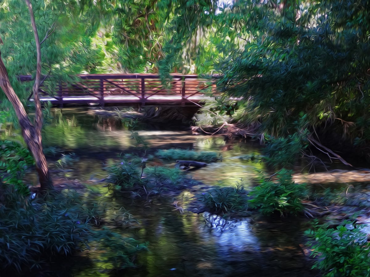 Brackenridge Park Bridge (small) by Nancy J. Wood 