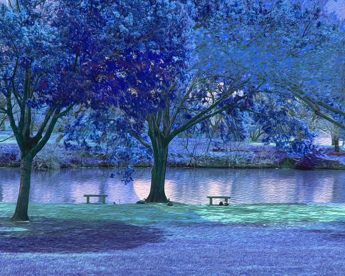 Spring Park Blue (small) by Nancy J. Wood 