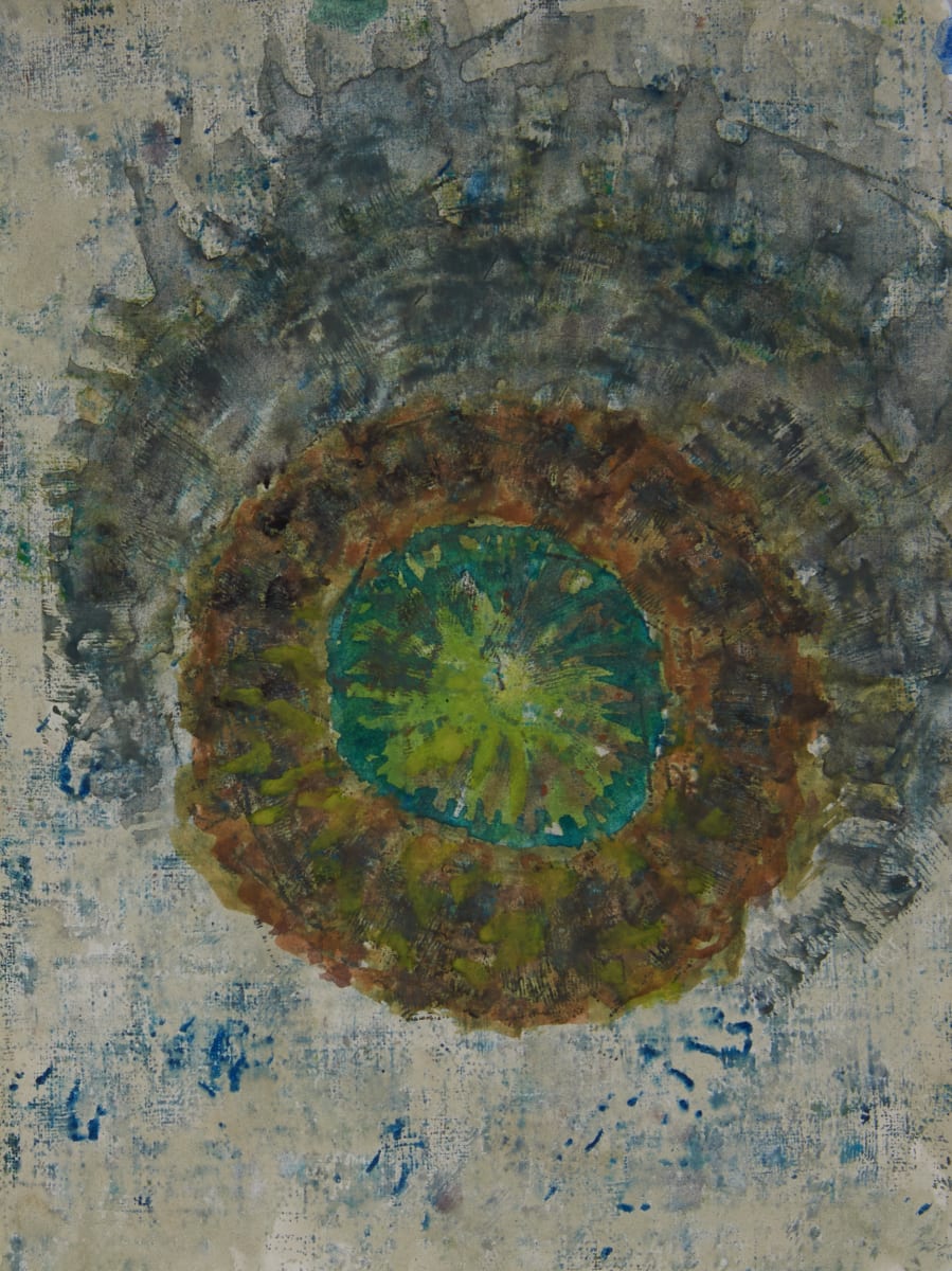 Owl eye - Skaneateles Lake - Summer 2019 