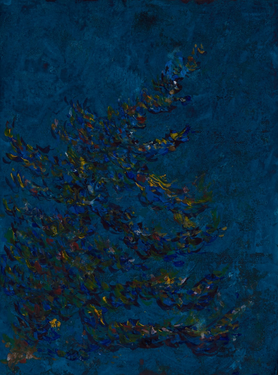 COLORAYOL - Le Rayol chez Nicolas 