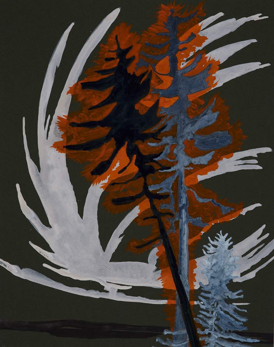 Pines on fire by Ghislain Pfersdorff, Image 1.