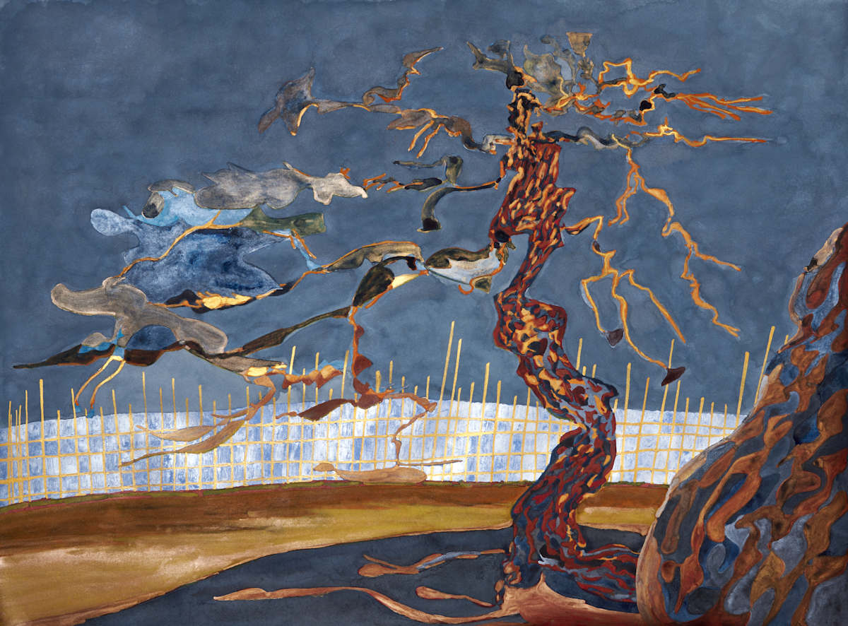 Maruyama twin pines by Ghislain Pfersdorff 