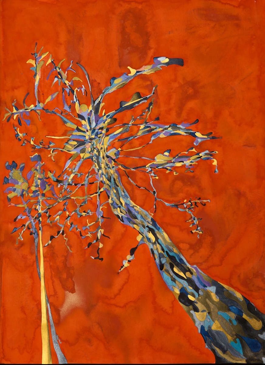Kyoto burning by Ghislain Pfersdorff, Image 1.