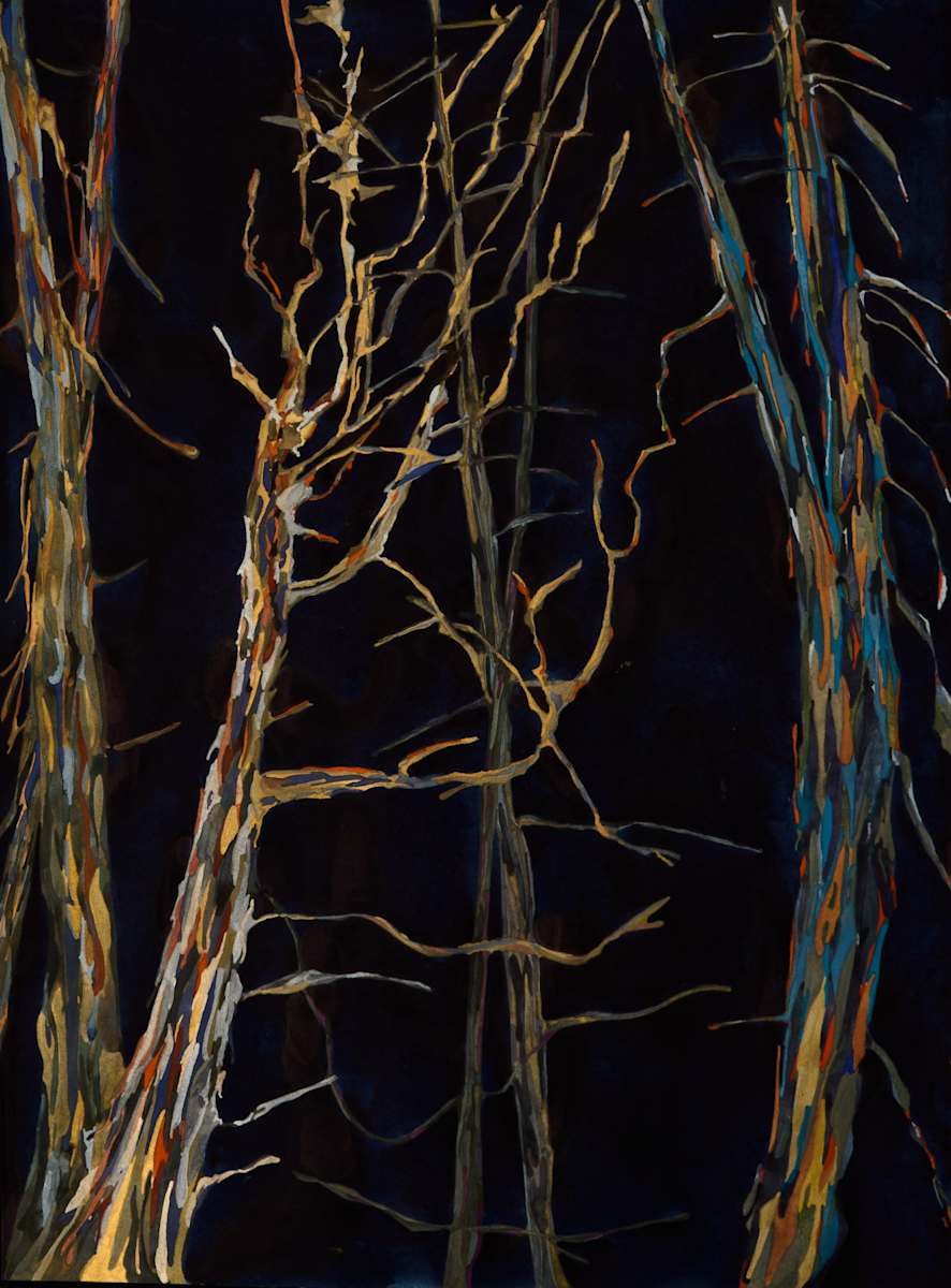 Sunburnt forest by Ghislain Pfersdorff, Image 1.