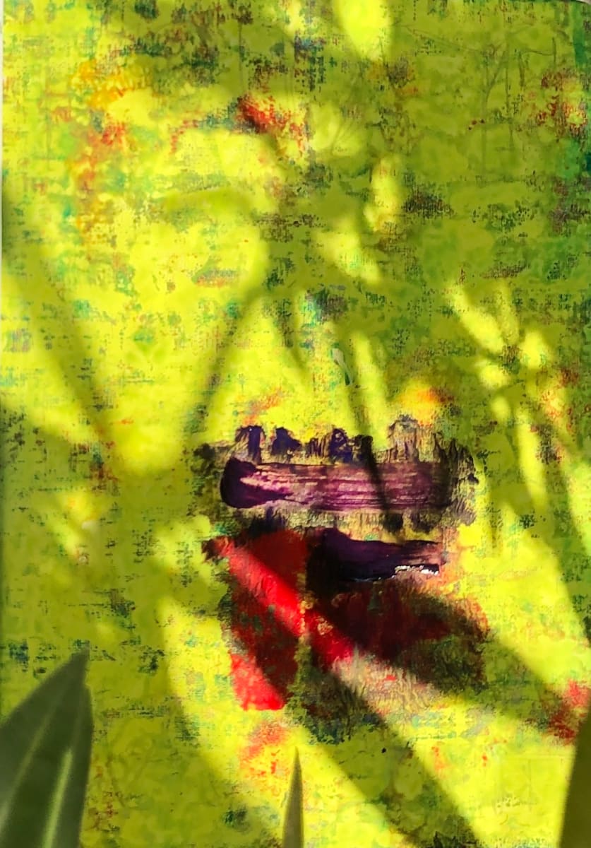 Scullied Shades, Image 2.