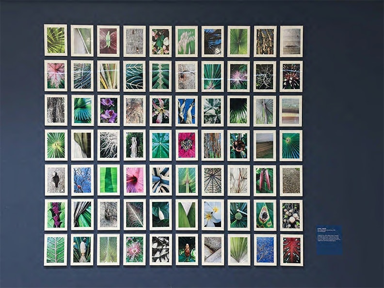 Ode to Nature by Carol Jazzar 