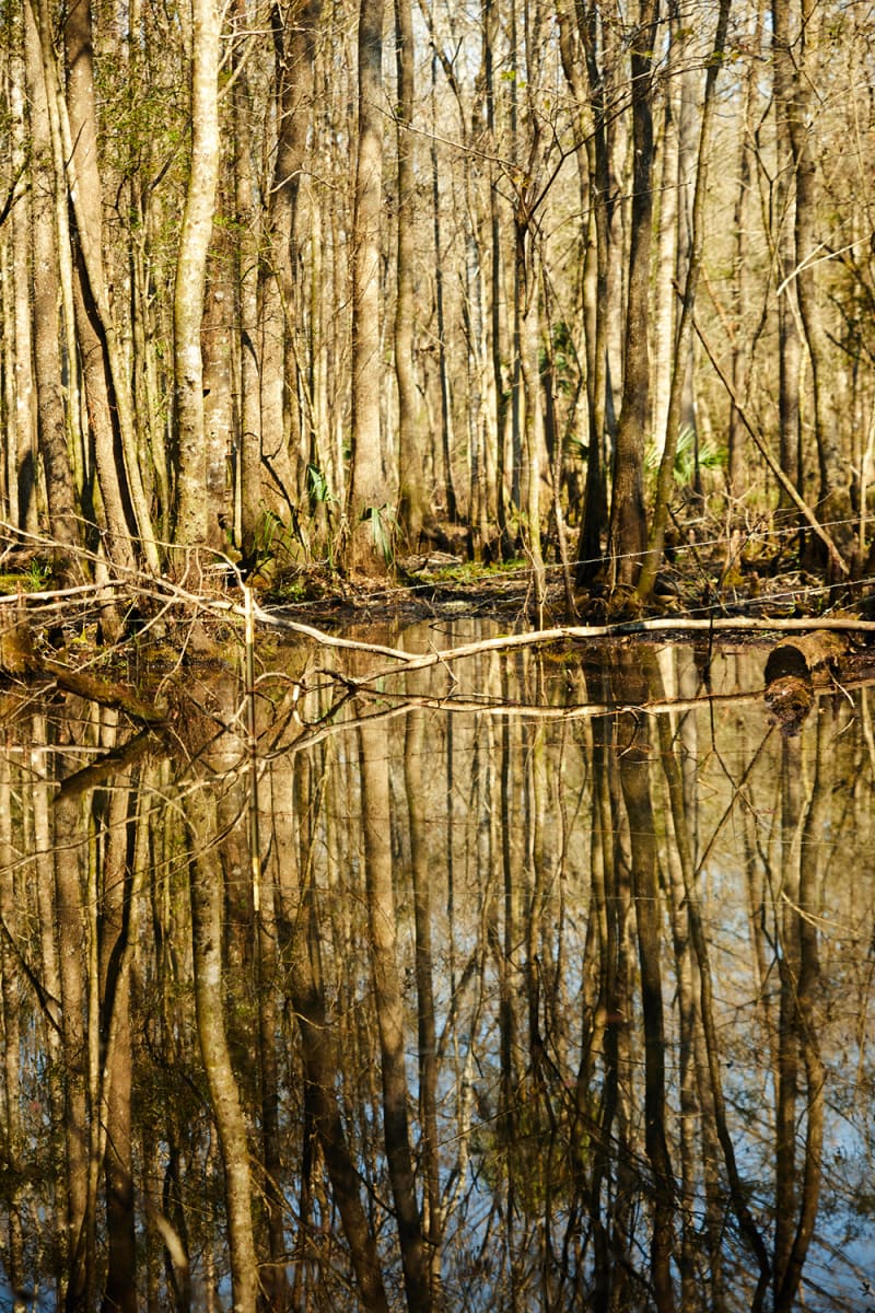 Idilio by Leslie Gabaldon 