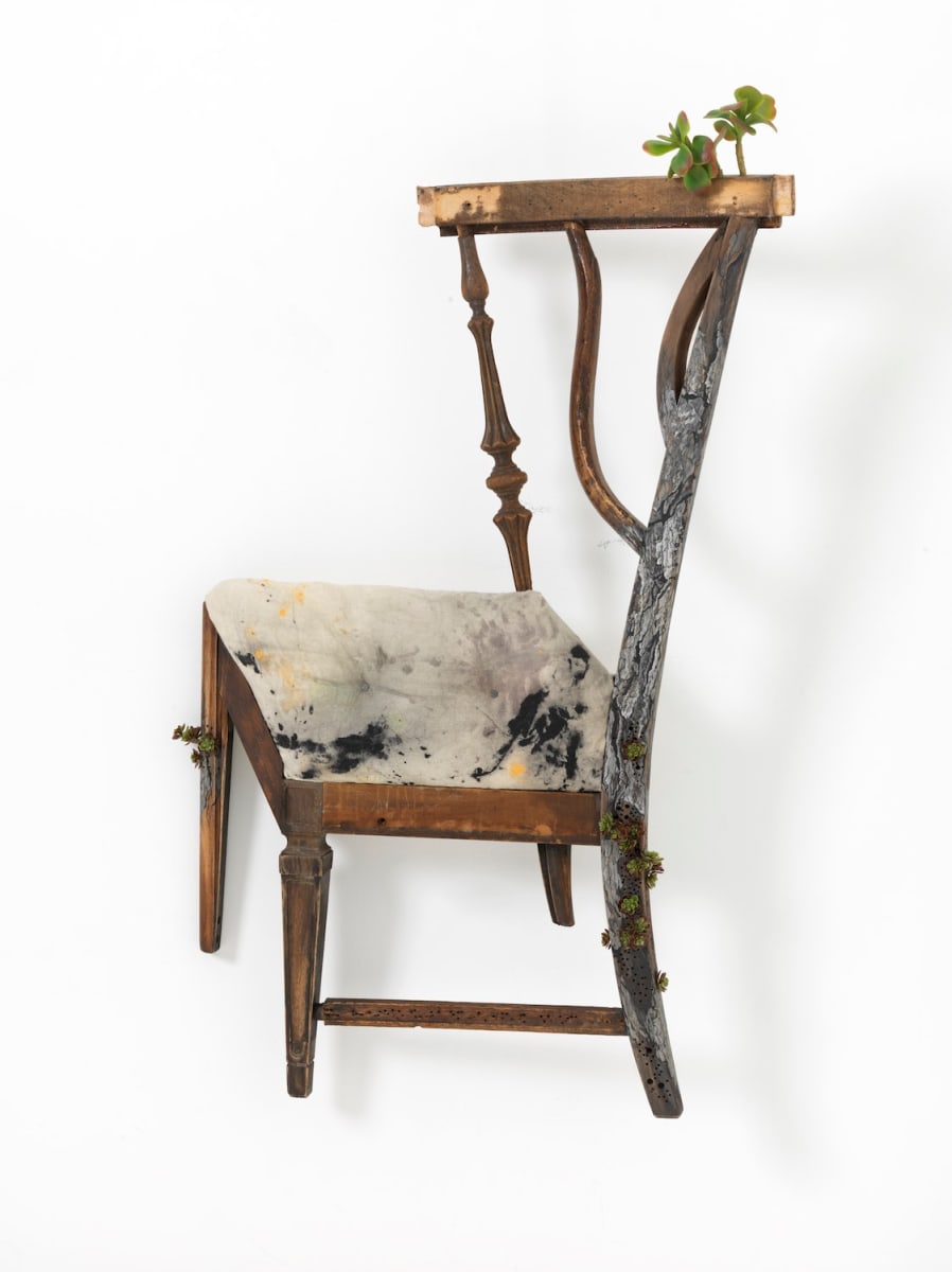 Growing by Sharon Berebichez 