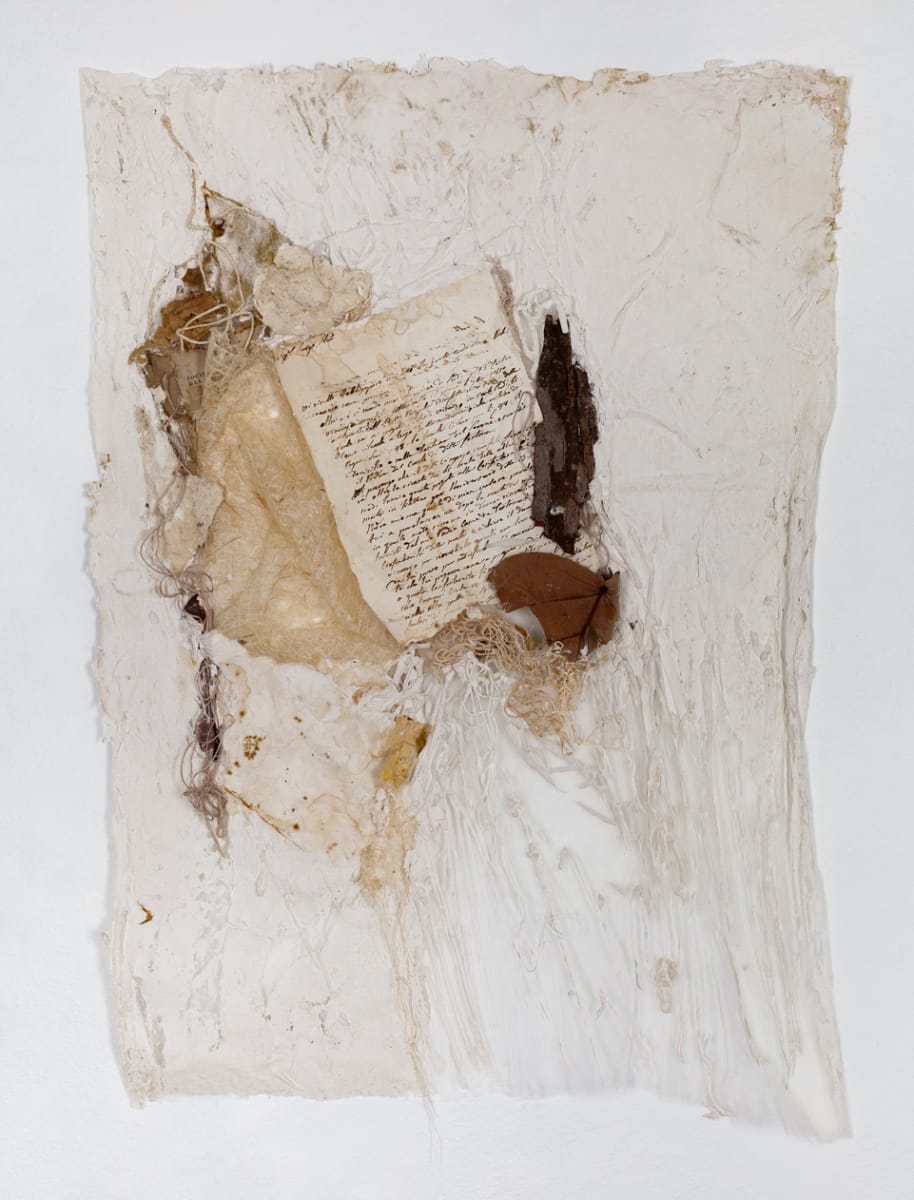 Hasta la Raiz by Karla Kantorovich 