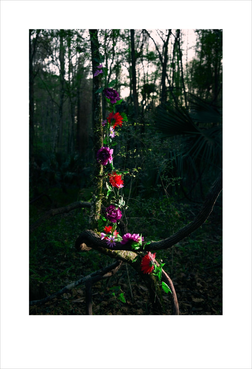 Ikebana 8620 by Leslie Gabaldon, Image 1.